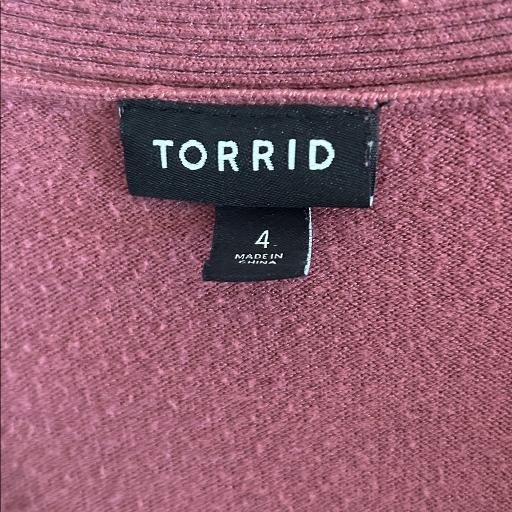 Torrid Top Bundle - Picture 4 of 7